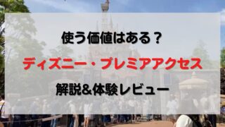 妊婦がディズニー旅行は迷惑 必要な準備とおすすめの楽しみ方 おまめ家のディズニー大好きブログ