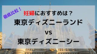 妊婦でも乗れるアトラクション オススメ4選 東京ディズニーシー おまめ家のディズニー大好きブログ